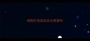 狗狗打完疫苗还会感冒吗