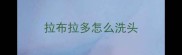 拉布拉多怎么洗头