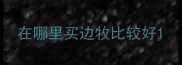 在哪里买边牧比较好