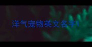 洋气宠物英文名字