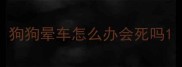 狗狗晕车怎么办会死吗
