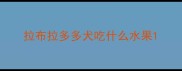 拉布拉多多犬吃什么水果