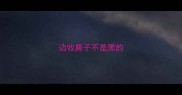 边牧鼻子不是黑的