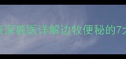 边牧不排便怎么办资深兽医详解边牧便秘的7大诱因与紧急处理指南