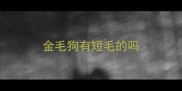 金毛狗有短毛的吗
