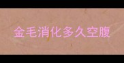 金毛消化多久空腹