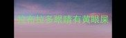 拉布拉多眼睛有黄眼屎