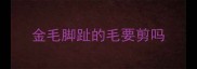 金毛脚趾的毛要剪吗