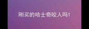 刚买的哈士奇咬人吗