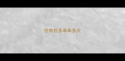 拉布拉多串串多大