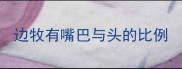 边牧有嘴巴与头的比例