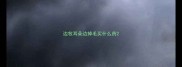 边牧耳朵边掉毛买什么药