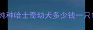纯种哈士奇幼犬多少钱一只