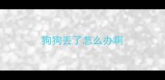 狗狗丢了怎么办啊