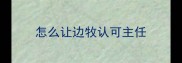 怎么让边牧认可主任