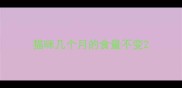 猫咪几个月的食量不变