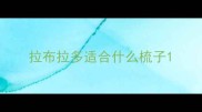 拉布拉多适合什么梳子
