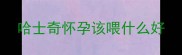 哈士奇怀孕该喂什么好