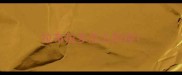 拉布拉多怎么防疫