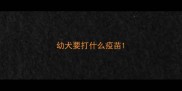 幼犬要打什么疫苗