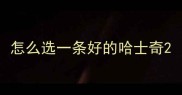 怎么选一条好的哈士奇