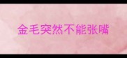 金毛突然不能张嘴