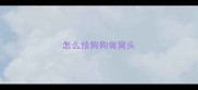 怎么给狗狗做窝头
