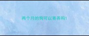 两个月的狗可以寄养吗