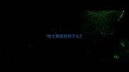 哈士奇能吃柿子么
