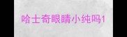 哈士奇眼睛小纯吗