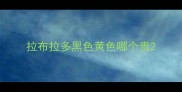 拉布拉多黑色黄色哪个贵