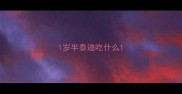 1岁半泰迪吃什么