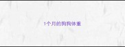1个月的狗狗体重