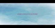 成都拉布拉多犬舍高端