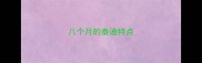 八个月的泰迪特点