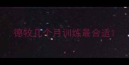 德牧几个月训练最合适