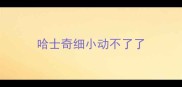 哈士奇细小动不了了