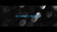 哈士奇尾巴上翘不纯吗