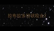 拉布拉多钳状咬合
