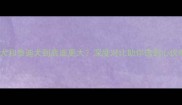 比熊犬和泰迪犬到底谁更大深度对比助你选到心仪毛孩
