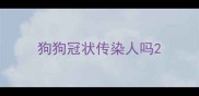 狗狗冠状传染人吗