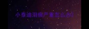 小泰迪泪痕严重怎么办