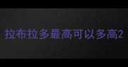 拉布拉多最高可以多高