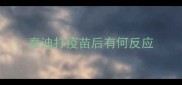泰迪打疫苗后有何反应