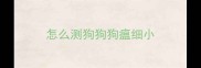 怎么测狗狗狗瘟细小