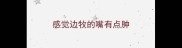 感觉边牧的嘴有点肿