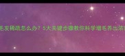 泰迪犬毛发稀疏怎么办5大关键步骤教你科学增毛养出浓密被毛