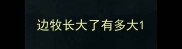 边牧长大了有多大