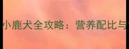 科学喂养1个月小鹿犬全攻略营养配比与常见问题解答