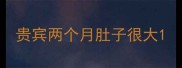 贵宾两个月肚子很大